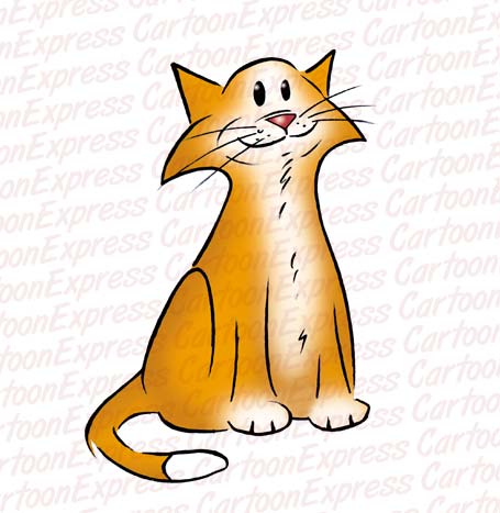 cat pet